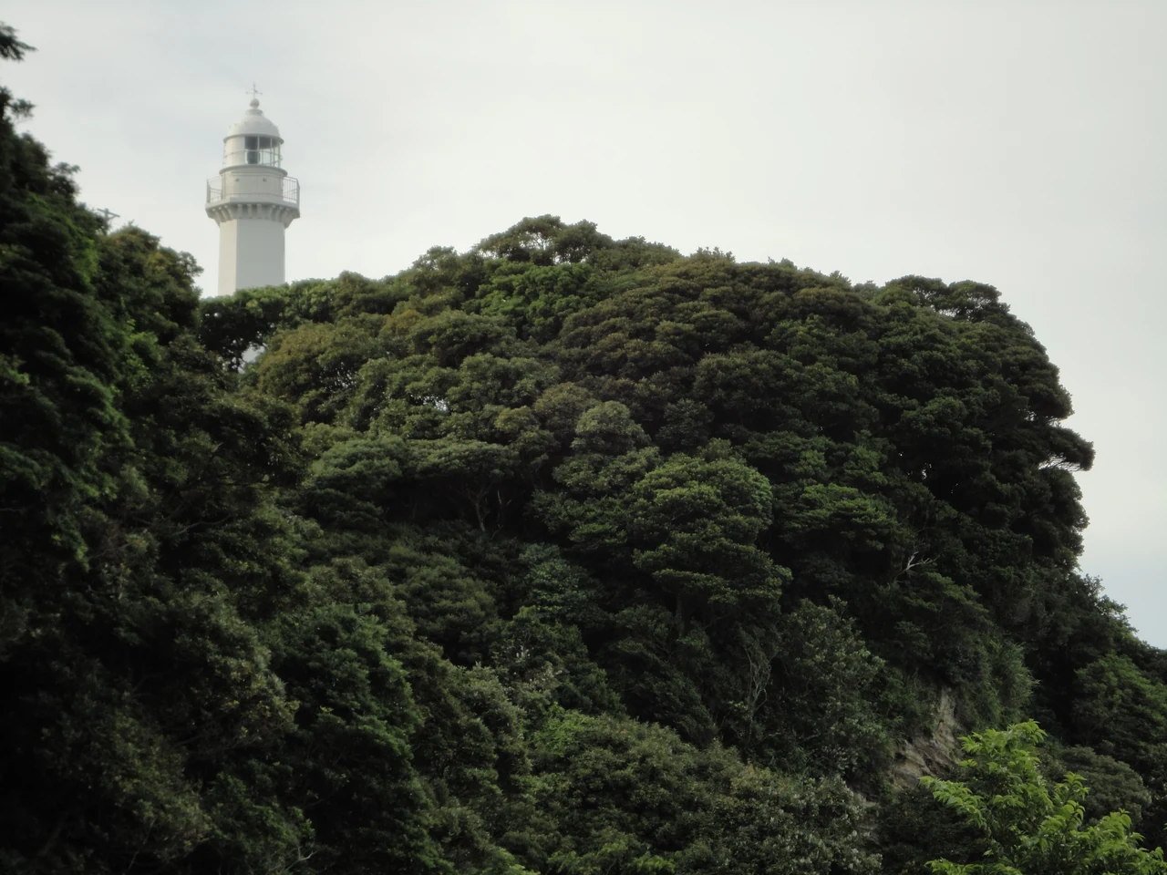 緑に囲まれた観音埼灯台